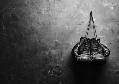 Boxhandschuhe